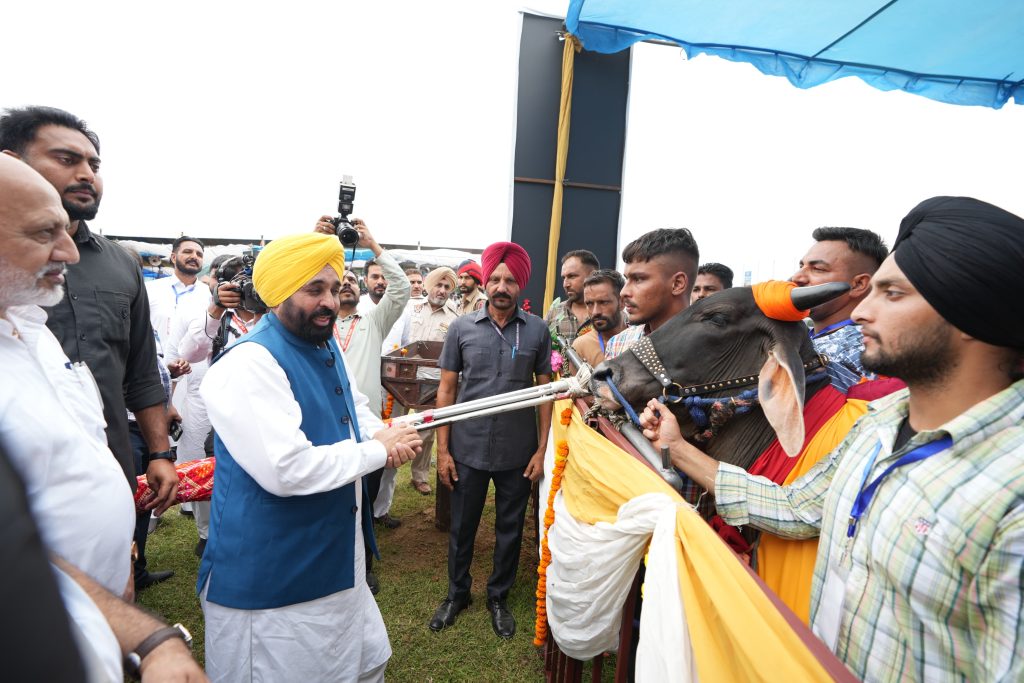 11 ਸਾਲਾਂ ਬਾਅਦ ਬਲਦਾਂ ਦੀਆਂ ਦੌੜਾਂ ਮੁੜ ਸ਼ੁਰੂ ਹੋਣਗੀਆਂ-ਮੁੱਖ ਮੰਤਰੀ ਮਾਨ